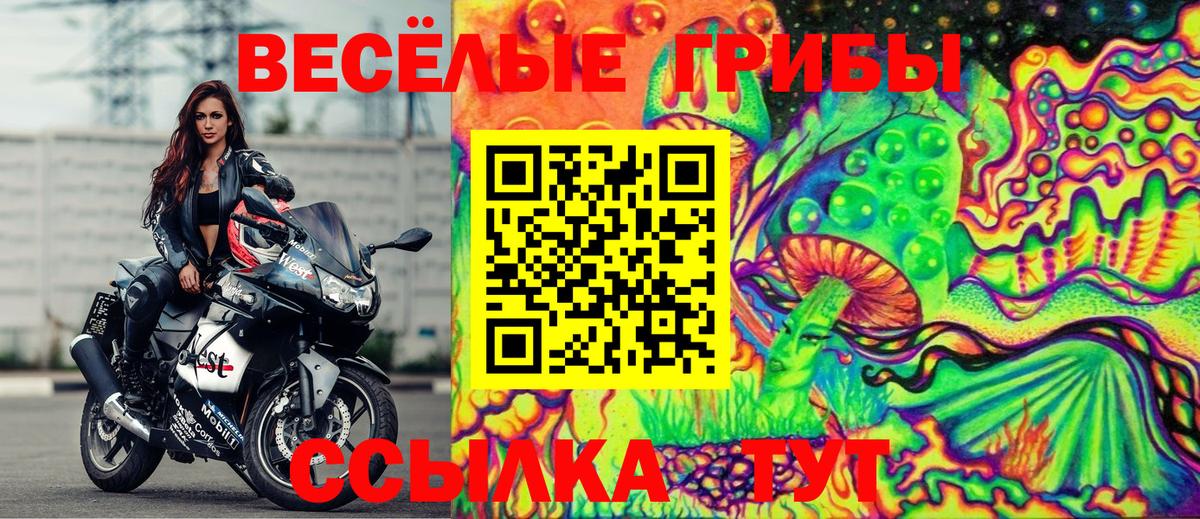 Псилоцибиновые грибы ЛСД Изобильный
