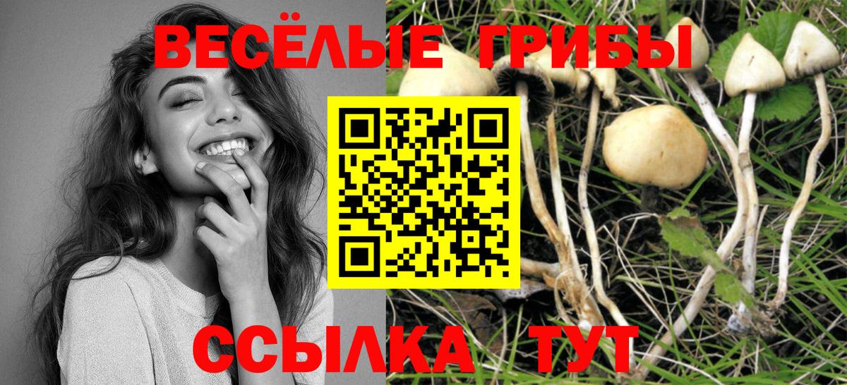 где продают наркотики  Галлюциногенные грибы Cubensis  Вход с VPN  Изобильный 